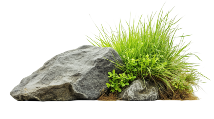 rock and grass composition isolated on white background , transparent png