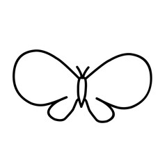 butterfly on white background