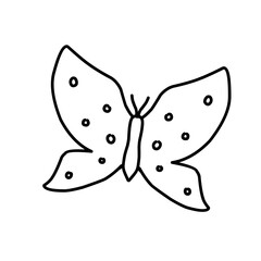 butterfly vector illustration