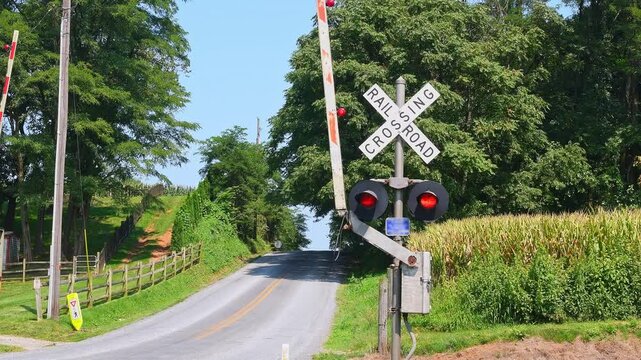 Red flashing signals warn of an approaching train at a rural rail crossing during a sunny day. The calm surroundings include trees and a cornfield, enhancing the serene atmosphere.