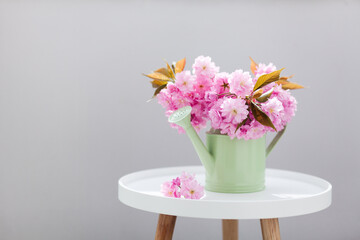 Cherry blossoms. Spring bouquet of pink flowers. Sakura in watering can, pot. Still life with tree branches on decorative table. Beautiful bunch in cozy home interior. Copy space