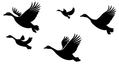 Obraz premium Flying Geese Silhouettes Against White Background