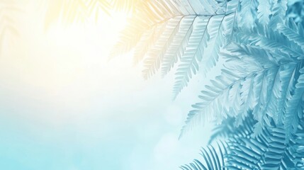 Obraz premium Close up view of fern leaves with sunlight background
