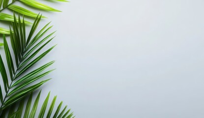 Fototapeta premium Vibrant Green Palm Fronds on Light Gray Background