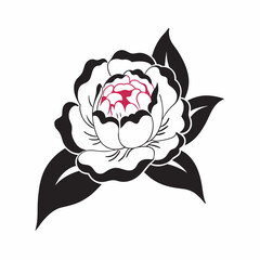 Peony flower with black and pink details