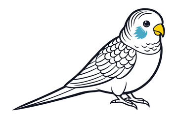 Fototapeta premium Beautiful Budgerigar Vector Art. Detailed Bird Illustration