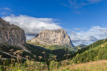 Sassolungo mountain dominates Val Gardena in the Dolomites, Italy, surrounded by lush greenery, rocky terrain, and a vivid blue sky