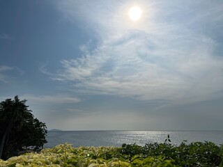 A serene seascape featuring gentle waves under a bright sun, with lush green foliage in the foreground and a clear sky.