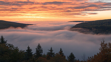 Obraz premium A breathtaking sunset illuminates a foggy valley, surrounded by lush trees, creating a serene and tranquil landscape.