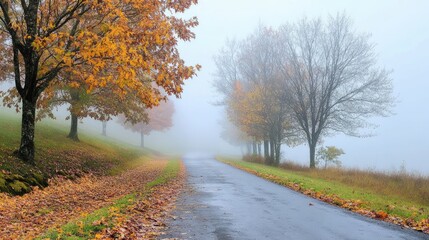 Obraz premium Misty country road lined with autumn trees and fallen leaves, creating a serene and atmospheric scene. Generative AI