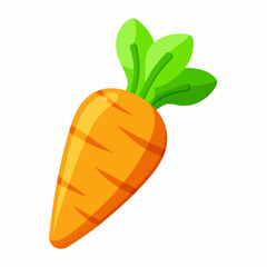 vector illustration of a carrot