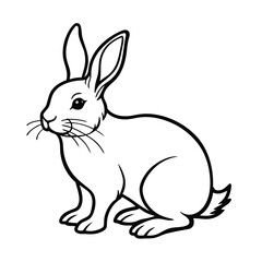 Fototapeta premium white rabbit isolated on white background