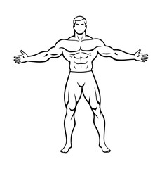 Fototapeta premium illustration of muscle man with opened arms, outline muscle man with hands open