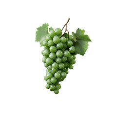 Obraz premium Cluster of fresh green grapes with plump berries and lush green leaves, suspended elegantly against a transparent background