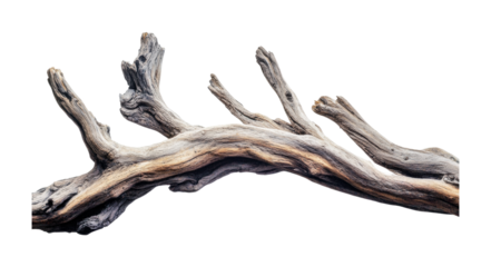 Unique driftwood piece for home decor and artistic display in natural or rustic settings, cut out