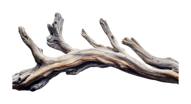 Unique driftwood piece for home decor and artistic display in natural or rustic settings, cut out