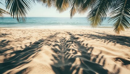Tranquil Beach Scene: Palm Tree Shadows on Golden Sand and Azure Ocean