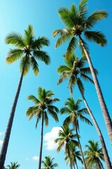 Tall coconut trees sway gently against bright blue sky, tropical, palm trees