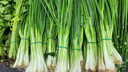 top view green onion on the market stall