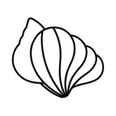 vector illustration of onion