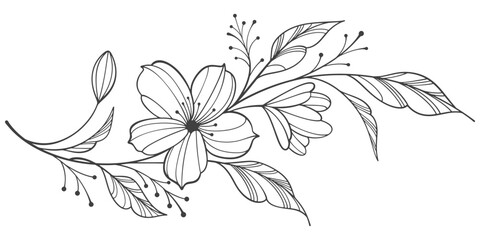 Line art floral botanical on transparent background vector. floral, flowers, leaves, foliage, branches in hand drawn. Floral element design