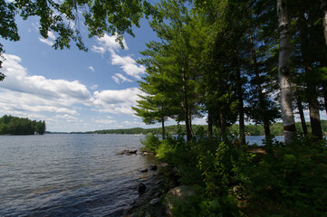 Lake Joseph in Muskoka, Ontario, Canada. A summer afternoon with a partly cloudy sky and gently rippling water. The shoreline is lined with lush green trees, creating a peaceful, natural setting.