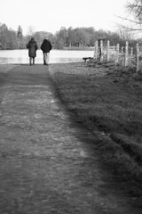 autour du lac N & B  01 2025