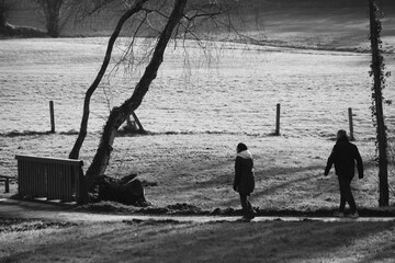 autour du lac N & B  01 2025