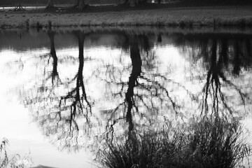 autour du lac N & B  01 2025