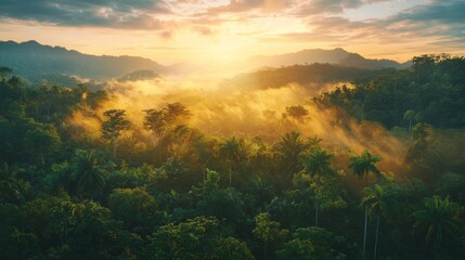 Obraz premium Enchanting Amazon Landscape: Aerial View of Lush Forest at Sunrise