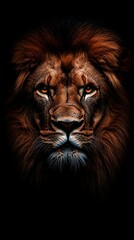 Fototapeta premium Lion's face portrait, dark background, majestic