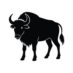 Buffalo Silhouette Vector Art Illustration and Buffalo Minimalist Black Design