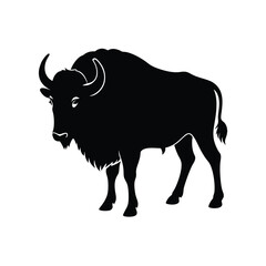Buffalo Silhouette Vector Art Illustration and Buffalo Minimalist Black Design