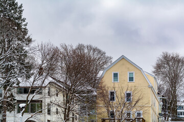 A serene winter scene with snow-covered trees and family houses in Brighton, Massachusetts, USA 
