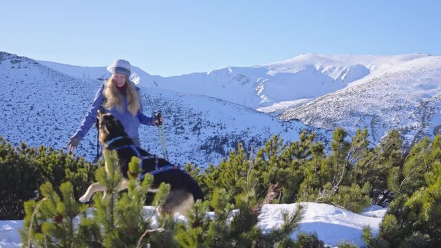 Girl with dog walking through snow among trees covered snow. Winter hike in mountains. Adventures in mountains.