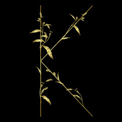 Capital letter K with floral  motifs. Botanical alphabet with herbs and wildflowers. Blooming branches of Polygonum plant. Knotweed or Smartweed flower. Golden glossy silhouette on black background.