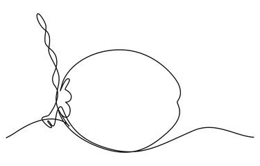 Fototapeta premium Continuous one single minimal line drawing coconut, Single continuous line drawing whole and sliced healthy organic coconut for orchard logo identity. Fresh fruitage concept for fruit garden icon.