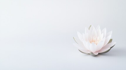 Obraz premium single lotus flower in full bloom delicate and serene sits gently on white surface embodying peace spirituality and