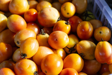 A close-up shows a vibrant pile of golden tomatoes, with some red and green hues. The image represents food and is categorized as illustrative editorial content.
