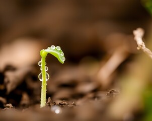 Nurturing Growth: The Journey from Seedling to Success in Personal Savings, Investment Growth, and Business Achievement