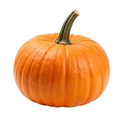 Obraz premium Vibrant orange pumpkin with a lush green stem exuding autumn vibes on a white backdrop