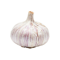 Obraz premium Fresh garlic bulb with purple hints and cloves peeking through isolated on white Ideal for food and health themed designs