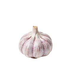 Fresh garlic bulb with purple hints and cloves peeking through isolated on white Ideal for food and health themed designs