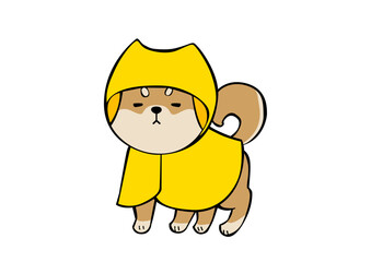 柴犬レインコート