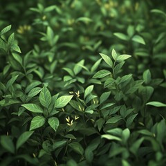 Obraz premium Verdant Canopy: A Lush Tapestry of Green Leaves with Subtle Hints of Yellow Buds Unfolding in a Dense Natural Setting