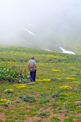 A man traveler walks through flowering alpine meadows in the mountains in a cloud