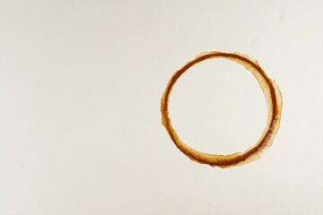 A delicate coffee-ring stain abstractly placed over a soft ivory canvas, forming a warm and artistic aesthetic