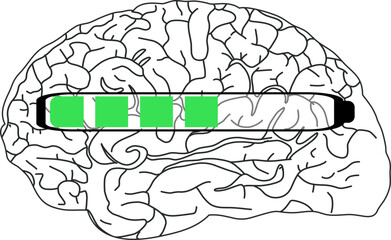The image shows a black and white illustration of the brain with a horizontal progress bar partially filled with green.