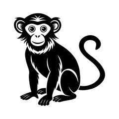 vector illustration of a monkey
