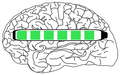 
The sticker image shows a black and white illustration of a brain with a horizontal progress bar partially filled in green.